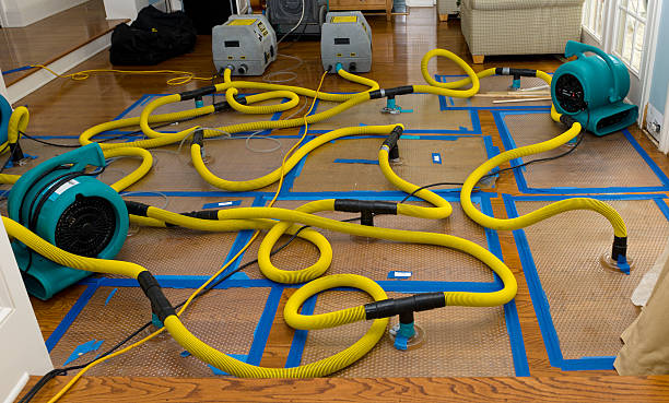 Professional Crawl Space Water Removal technician working in Rockford, MI